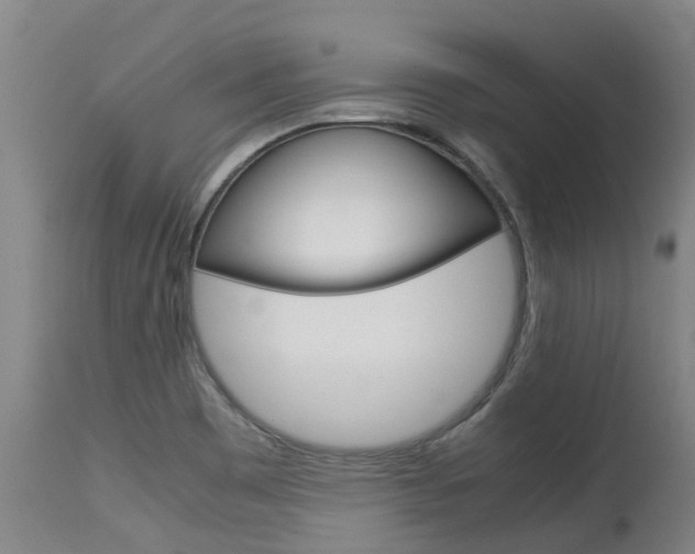 X0000115581465200911100943