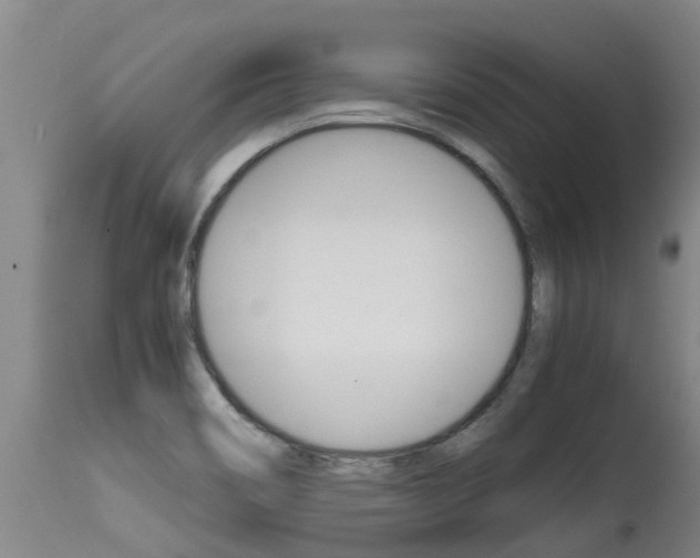 X0000115581466200911100943
