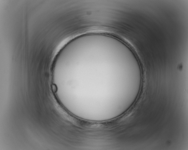X0000115581467200911100943