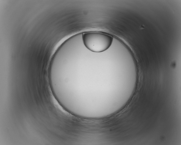 X0000115581468200911100943