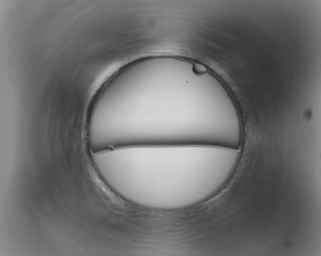 X0000115581469200911100943