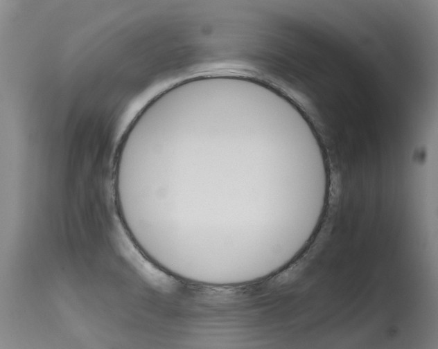 X0000115581470200911100943