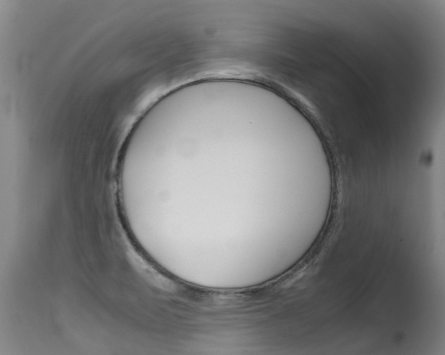 X0000115581471200911100943