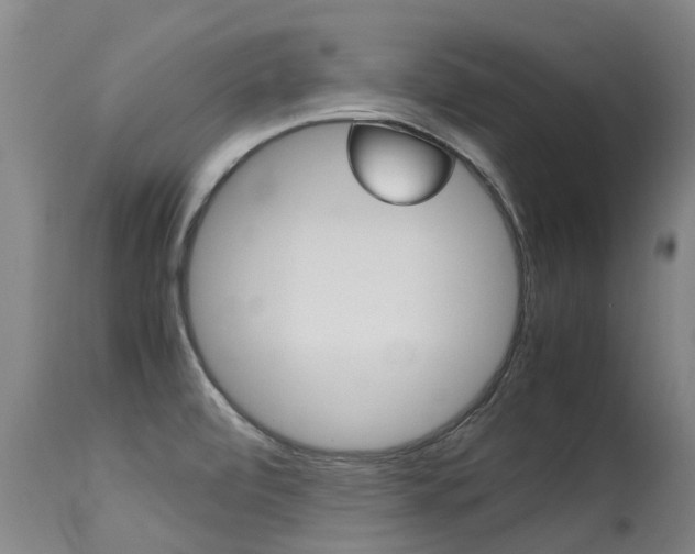 X0000115581472200911100943