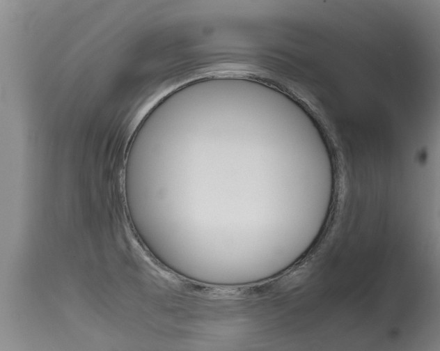X0000115581473200911100943