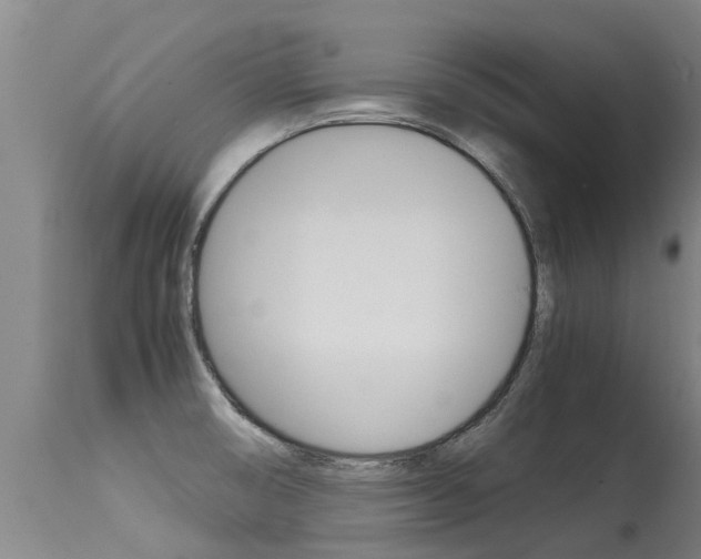 X0000115581474200911100943