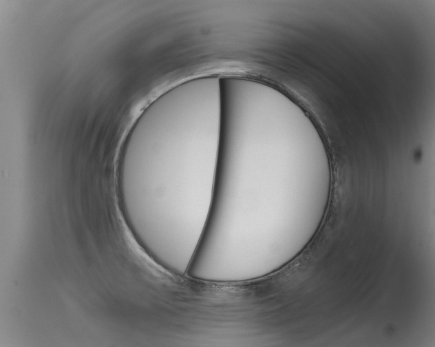 X0000115581475200911100943