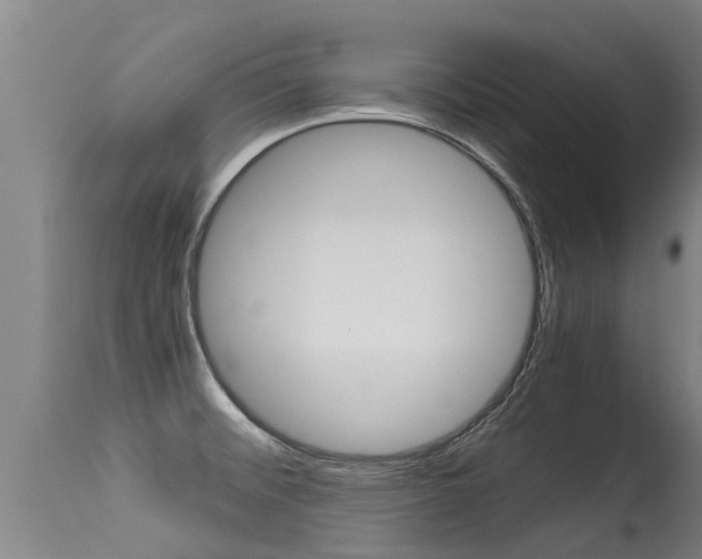 X0000115581476200911100943