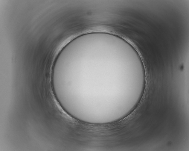 X0000115581477200911100943