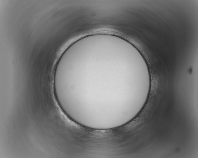 X0000115581478200911100943