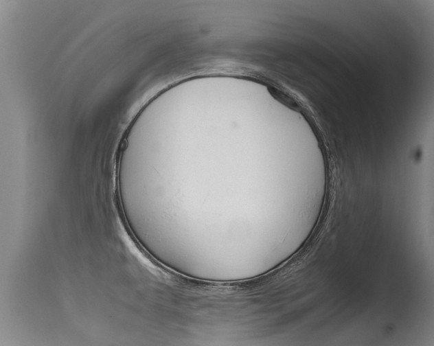 X0000115581479200911100943