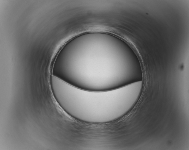 X0000115581480200911100943