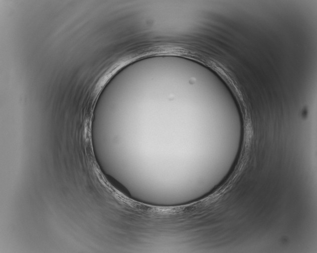 X0000115581481200911100943