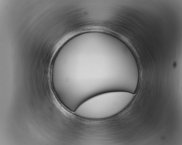 X0000115581482200911100943