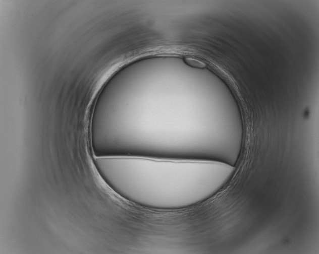 X0000115581483200911100943