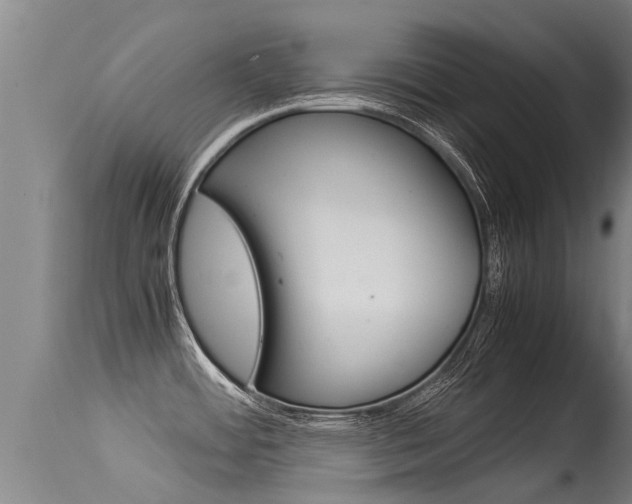 X0000115581484200911100943