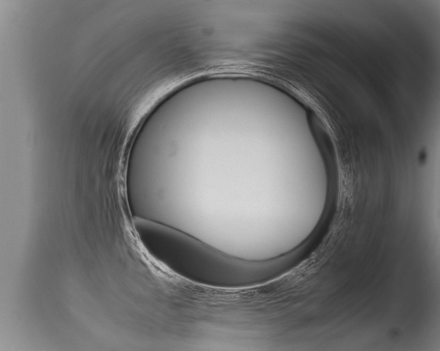 X0000115581485200911100943
