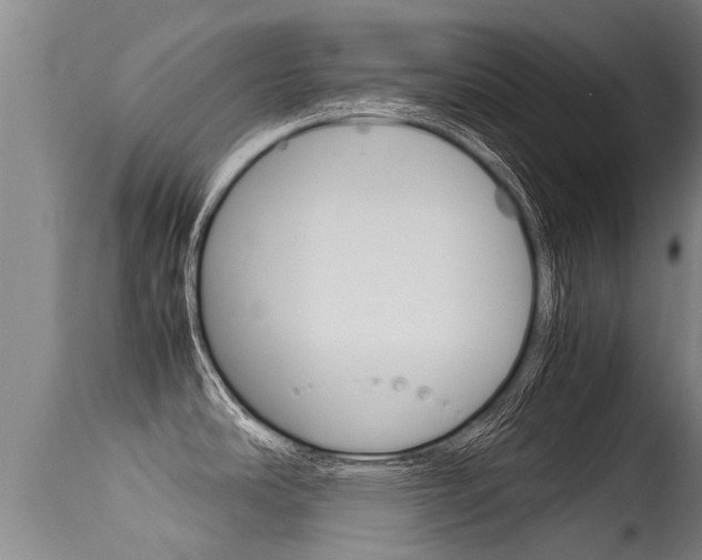 X0000115581486200911100943