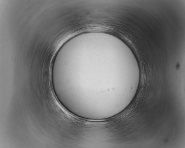 X0000115581487200911100943