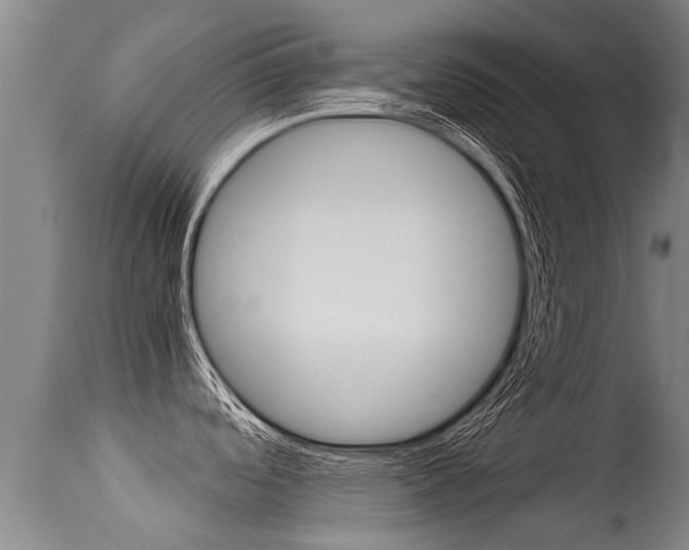 X0000115581488200911100943