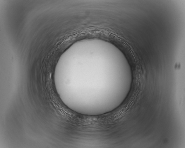 X0000115581489200911100942