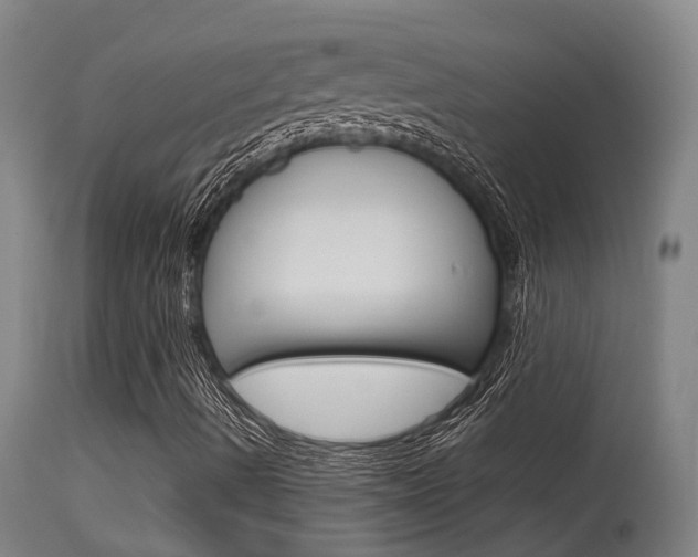 X0000115581490200911100942