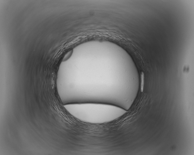 X0000115581491200911100942