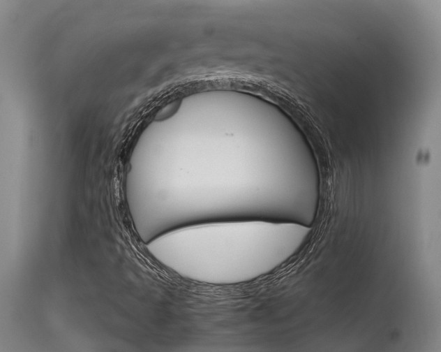 X0000115581493200911100942