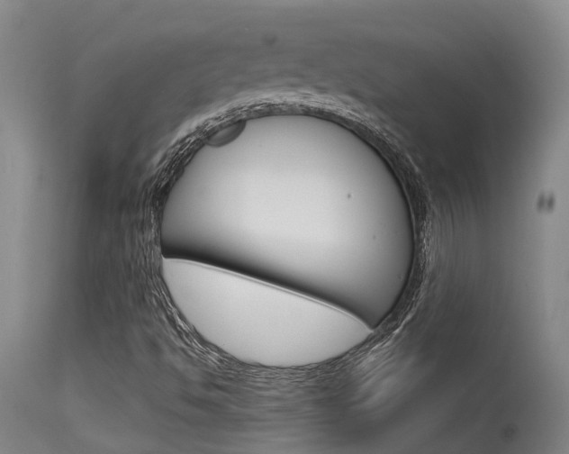 X0000115581494200911100942