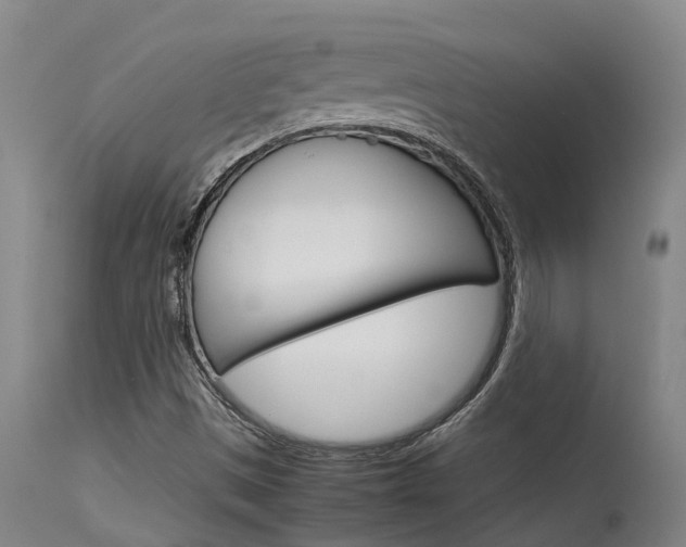 X0000115581497200911100942