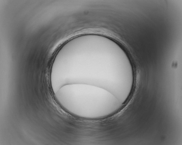 X0000115581498200911100942