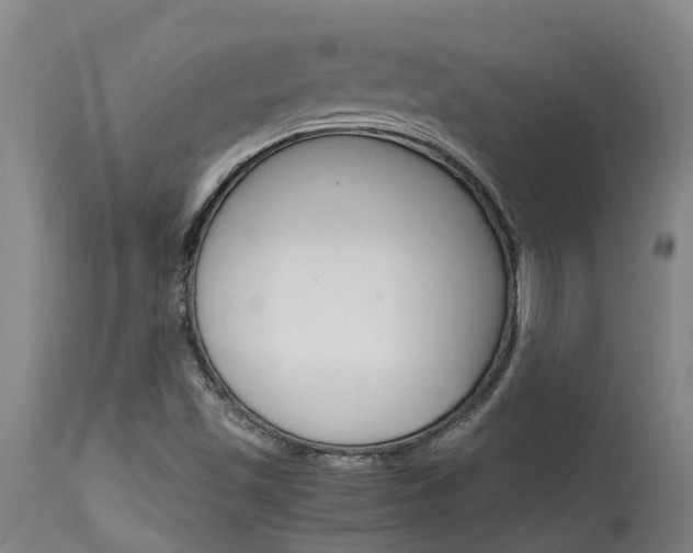 X0000115581501200911100942