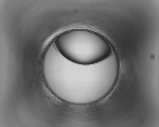 X0000115581502200911100942