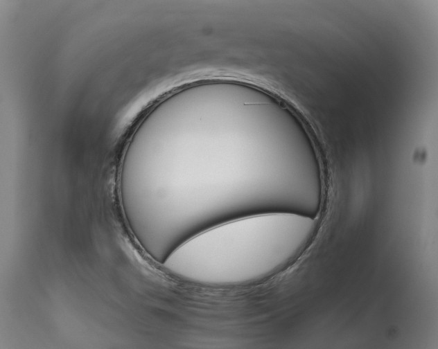 X0000115581503200911100942