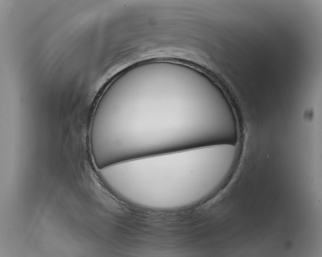X0000115581505200911100942