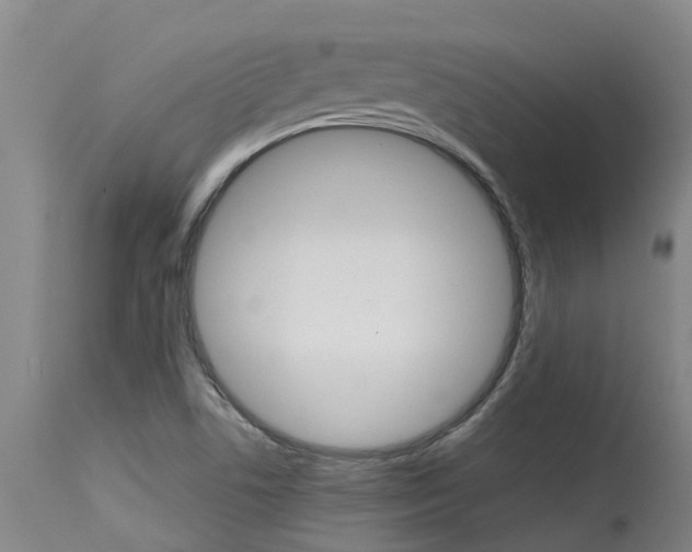 X0000115581506200911100942