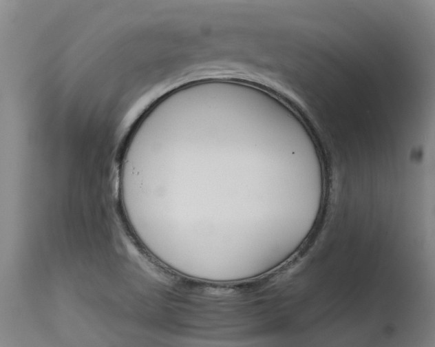 X0000115581509200911100942