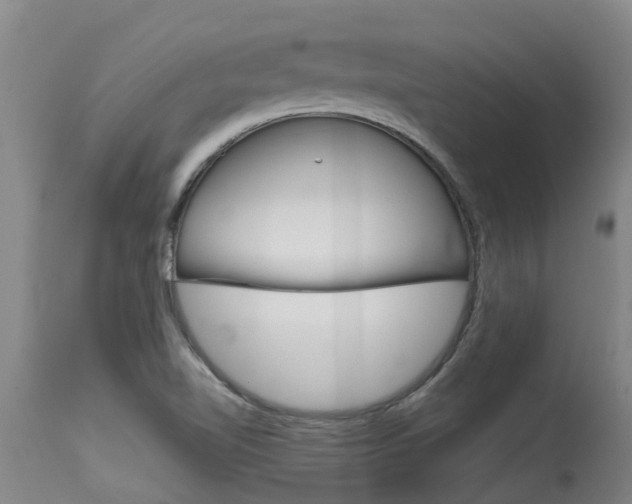 X0000115581510200911100942
