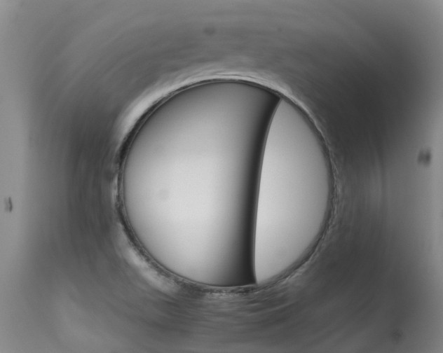 X0000115581511200911100942