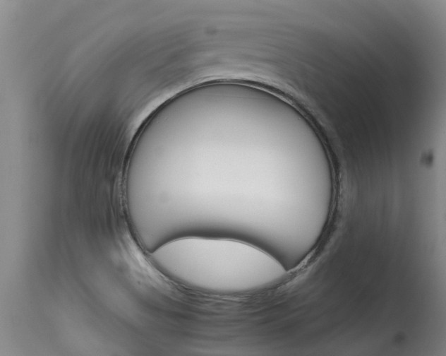 X0000115581513200911100942