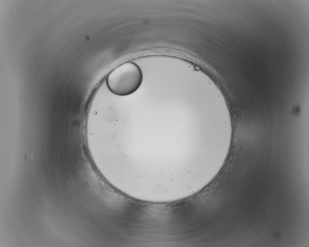 X0000115581514200911100942