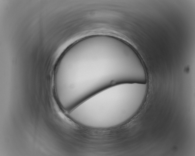 X0000115581515200911100942