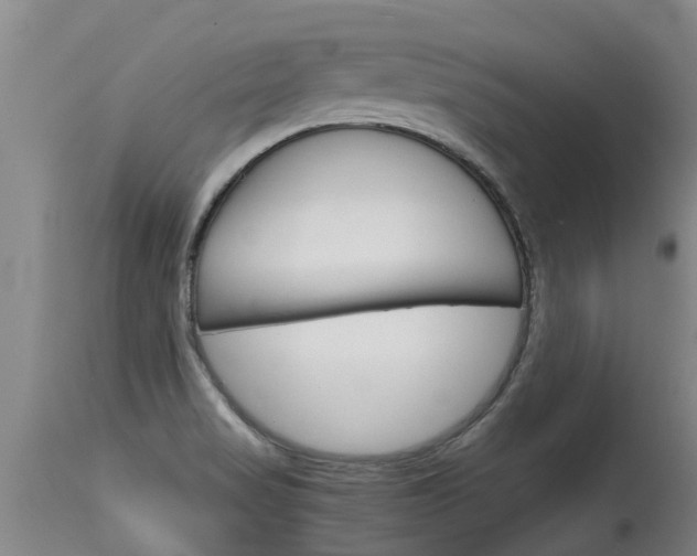 X0000115581517200911100942