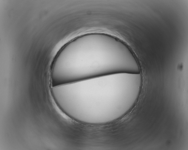 X0000115581519200911100942