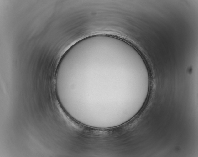 X0000115581521200911100942