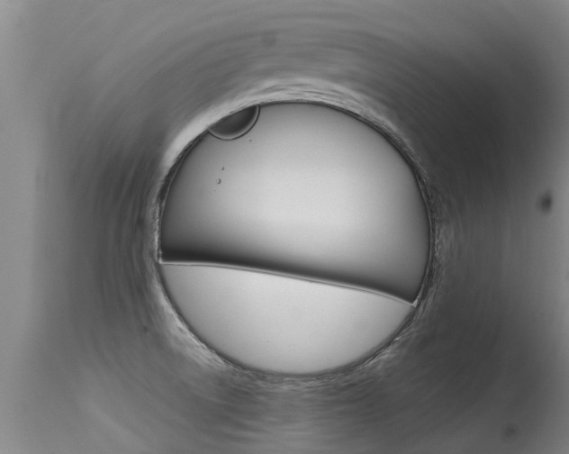 X0000115581522200911100942