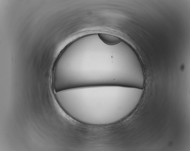 X0000115581523200911100942
