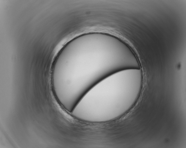 X0000115581525200911100942