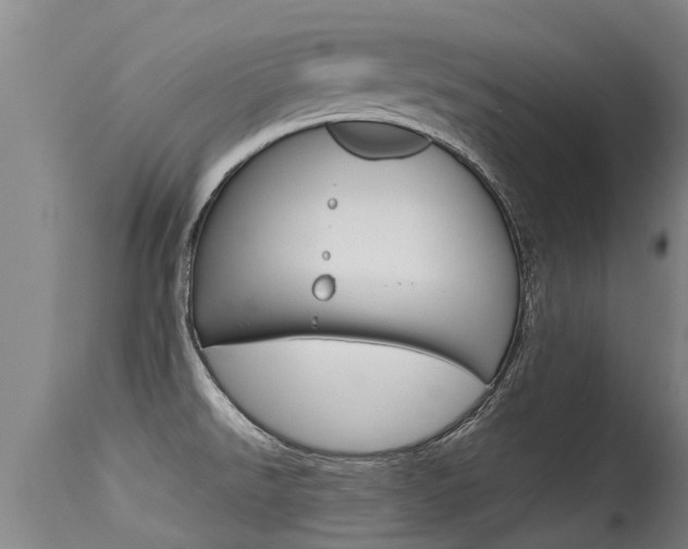 X0000115581526200911100942