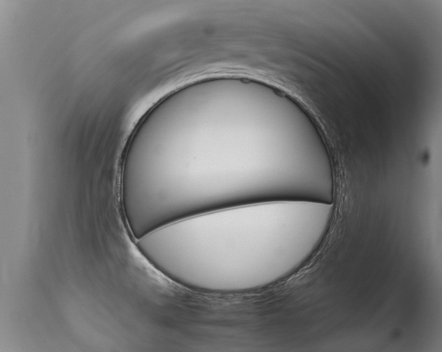 X0000115581527200911100943